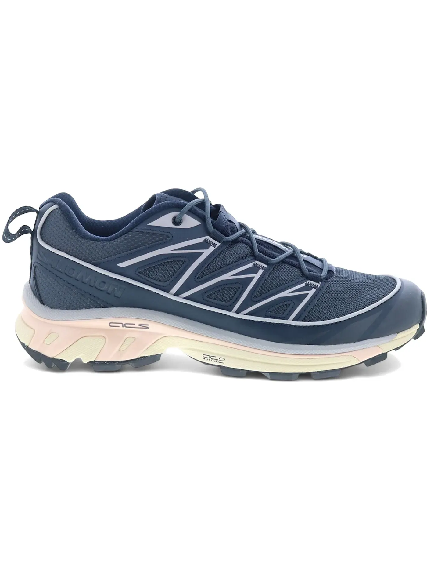 Мужские кроссовки для бега Salomon XT-6 Expanse — изображение 1 из 1, темный//розовый