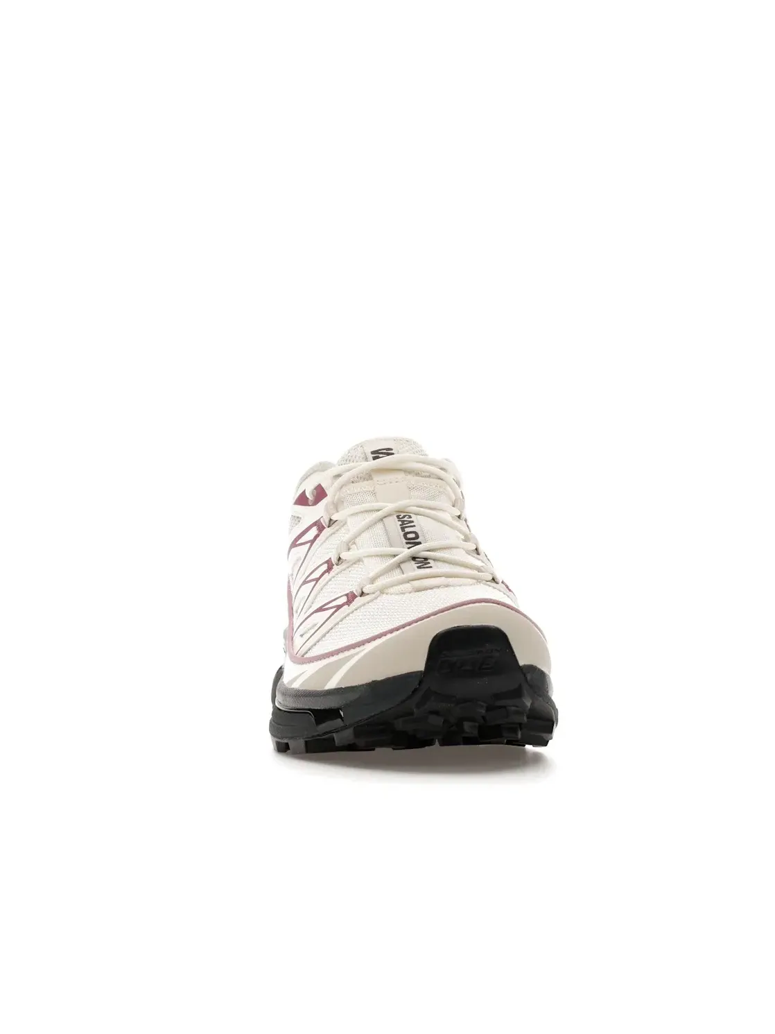 Кроссовки мужские для бега Salomon XT-6 Expanse, Vanilla Ice/Dusky Orchid — изображение 2 из 4