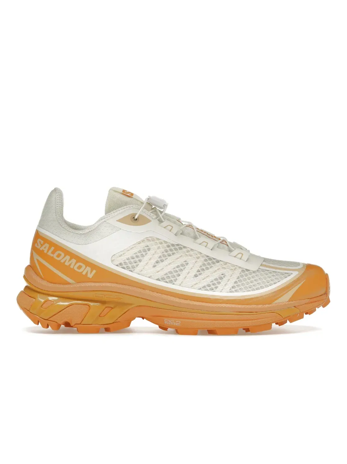 Кроссовки мужские Salomon XT-6 FT, с принтом, Vanilla Ice/Buckskin/Hazelnut — изображение 1 из 4