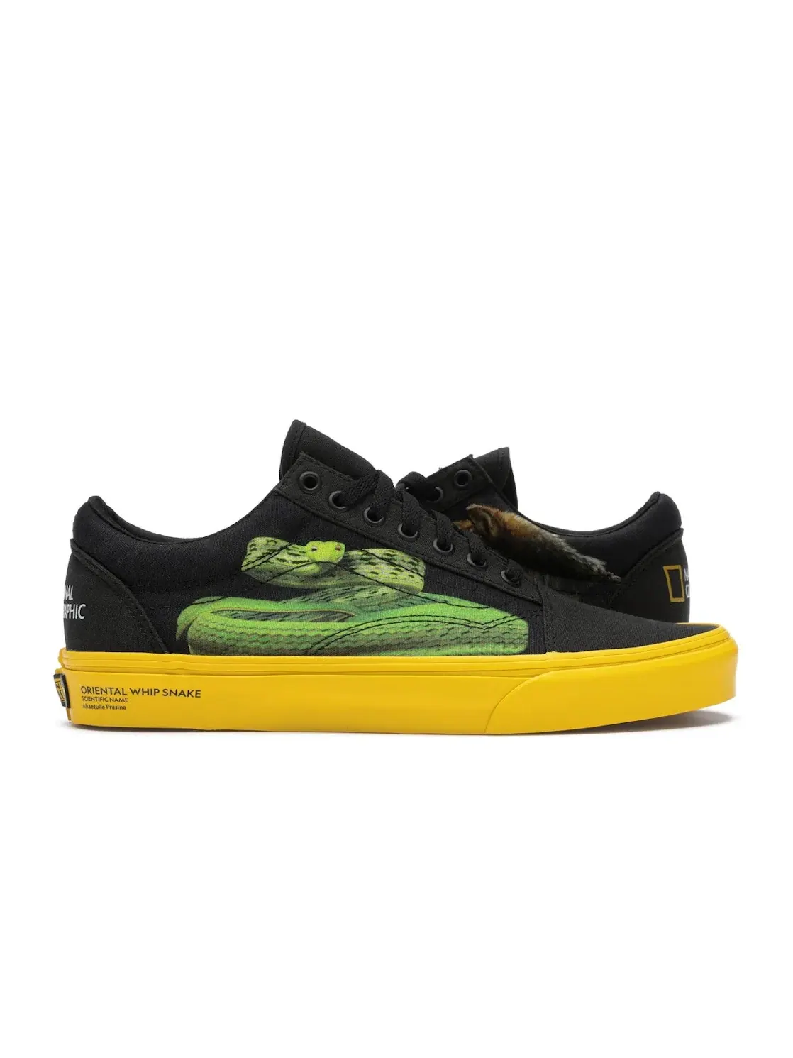 Мужские кроссовки Lifestyle Vans Old Skool National Geographic — изображение 1 из 4, черный/желтый