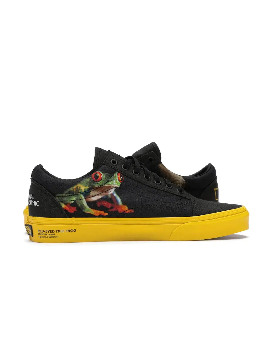 Мужские кроссовки Lifestyle Vans Old Skool National Geographic — изображение 3 из 4, черный/желтый