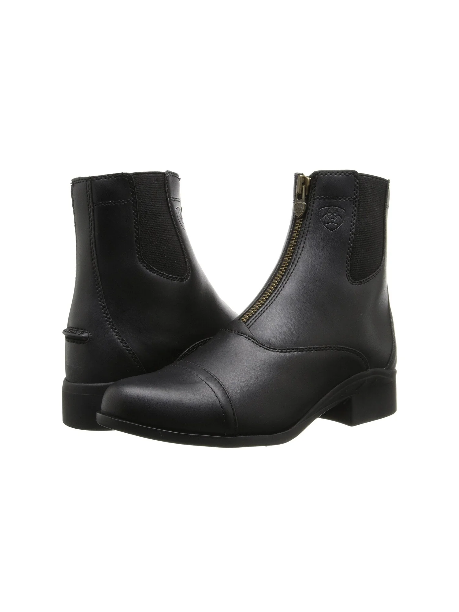 Сапоги женские Ariat Scout Zip Paddock на молнии
