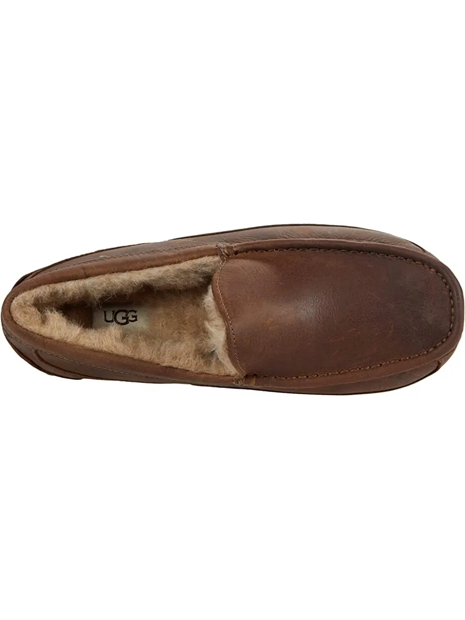 Слипперы Ascot UGG — изображение 2 из 7, таун