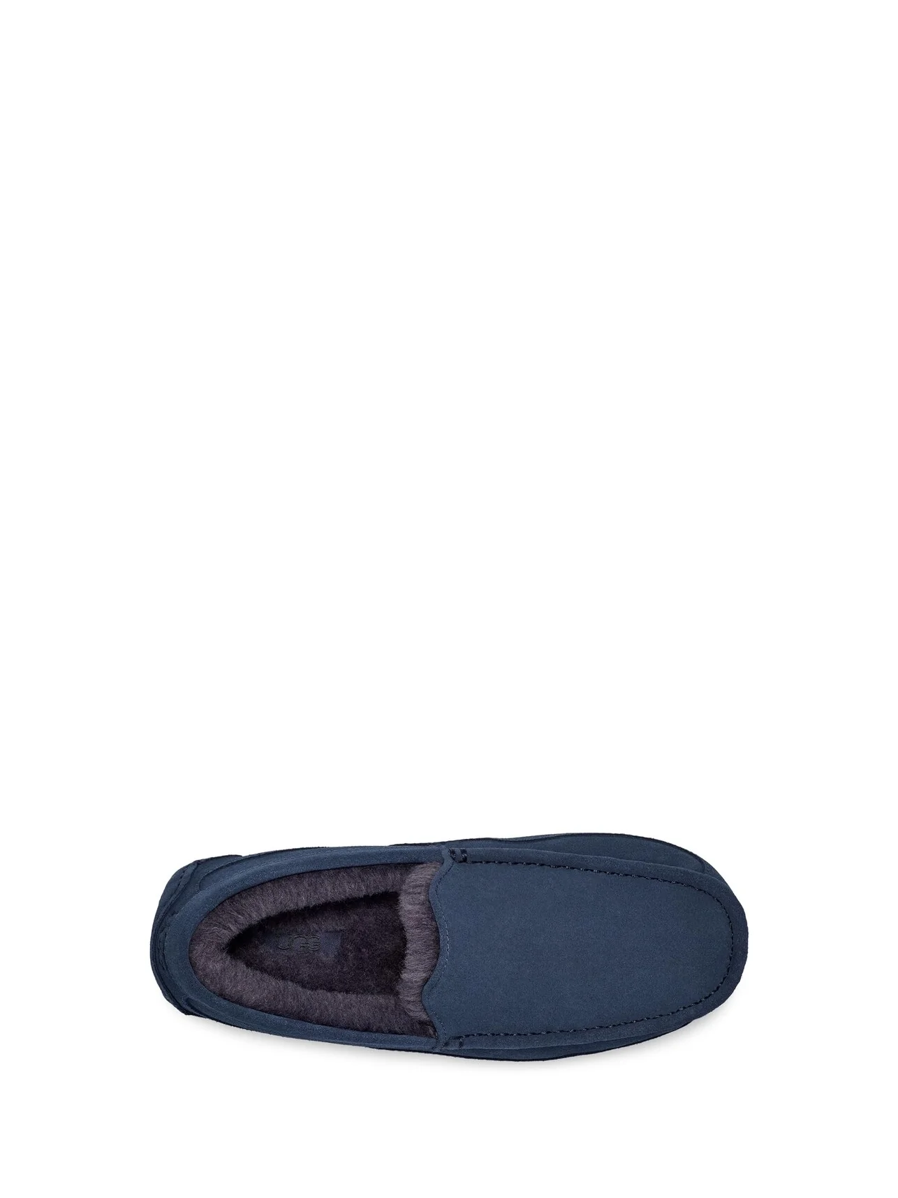 Домашняя обувь UGG Ascot — изображение 5 из 6, синий