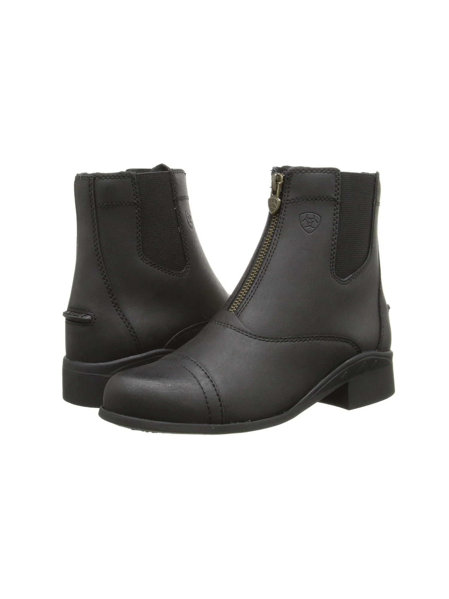 Ботинки Ariat Kids Scout Zip Paddock (Little Kid/Big Kid) — изображение 1 из 7, черный