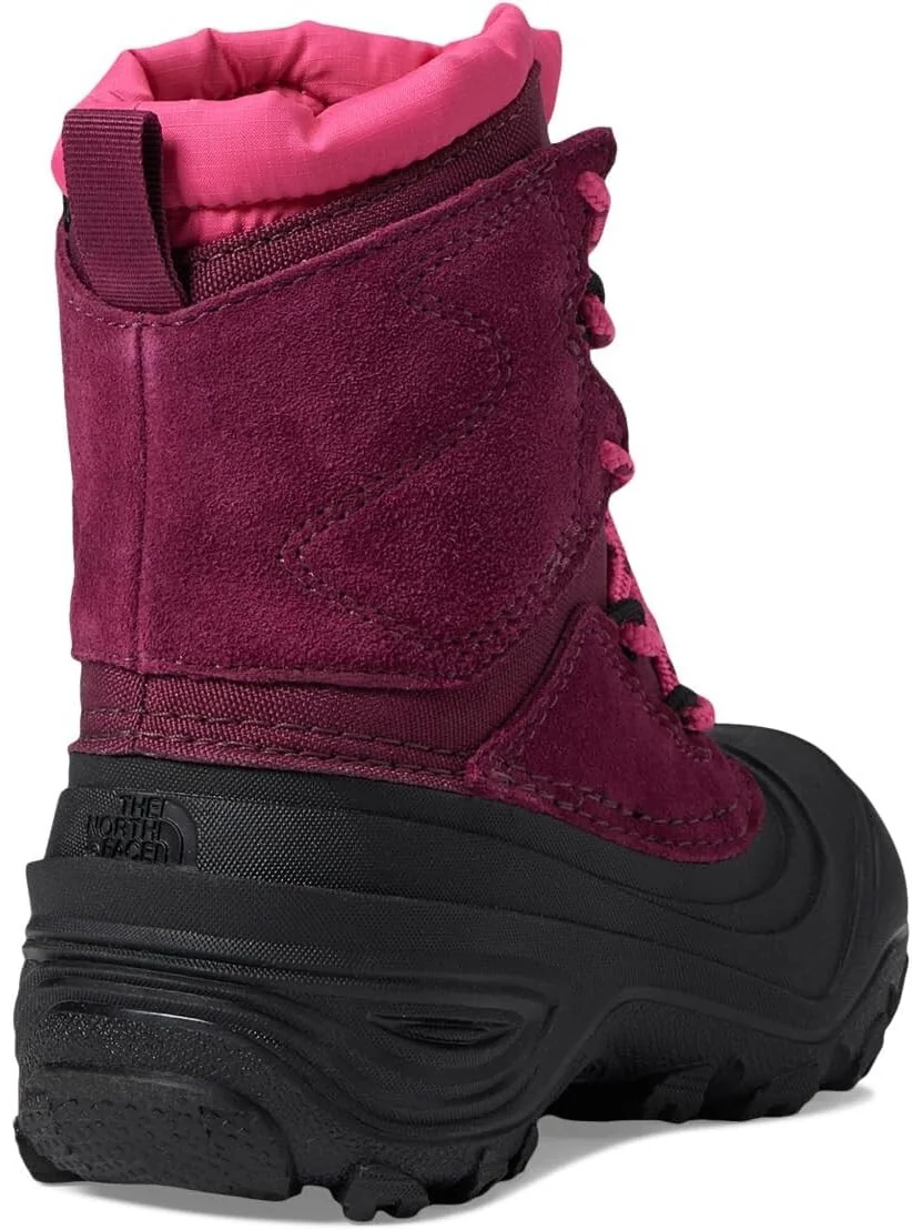 Зимние ботинки Alpenglow V Waterproof The North Face — изображение 5 из 6, черный