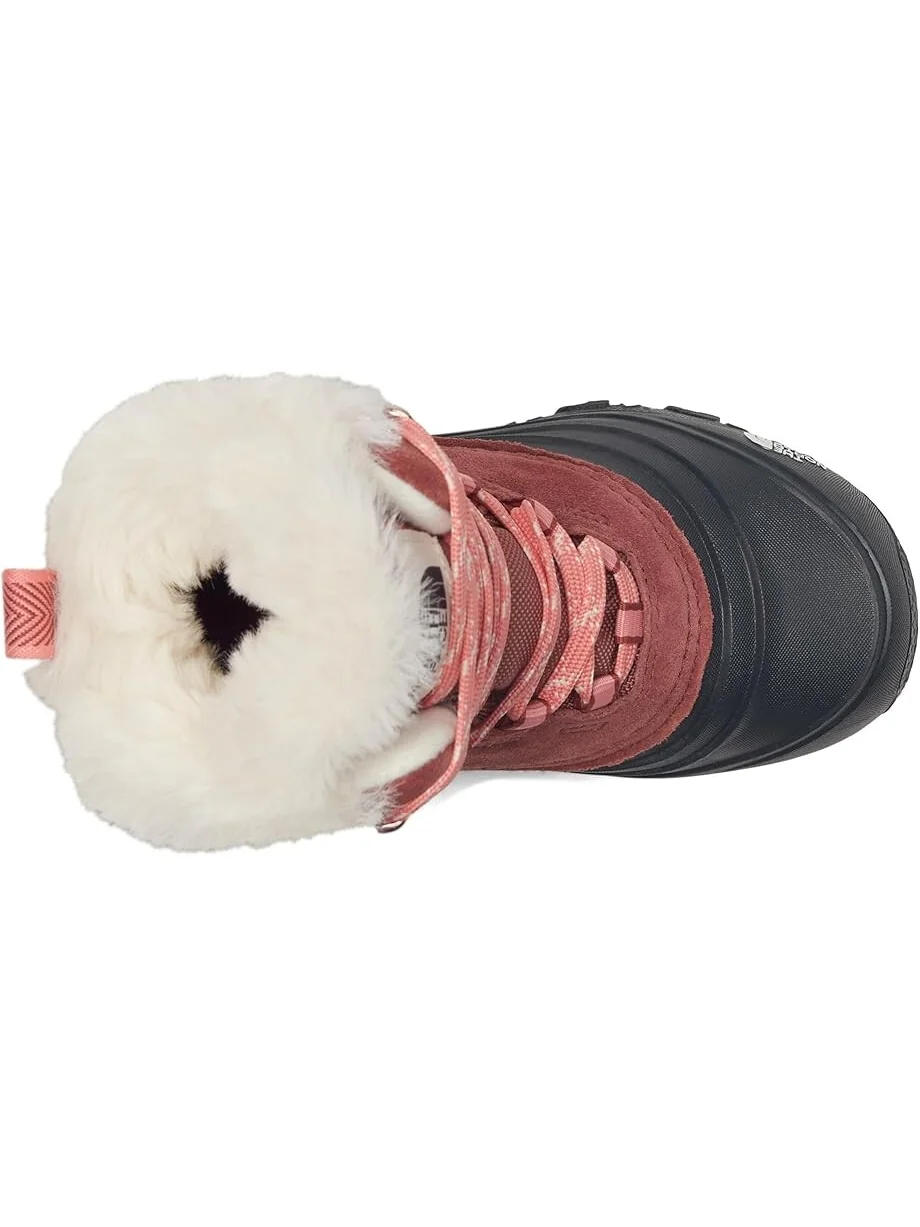 Ботинки The North Face Kids Shellista V Lace Waterproof — изображение 2 из 7, каньон/терракота