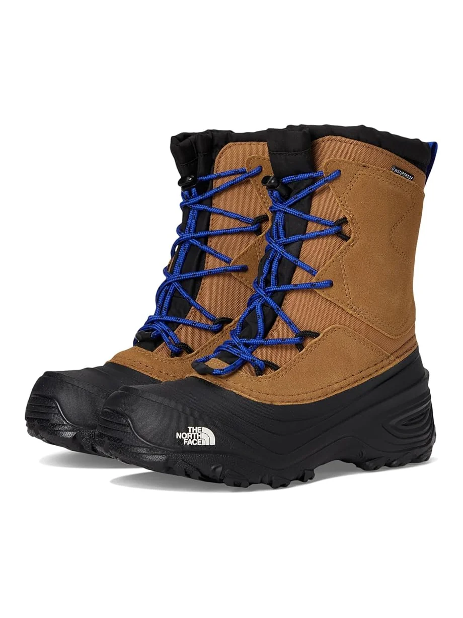 Ботинки The North Face Kids Alpenglow V Waterproof