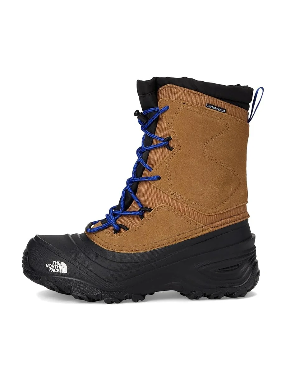 Ботинки The North Face Kids Alpenglow V Waterproof — изображение 4 из 7, коричневый/синий