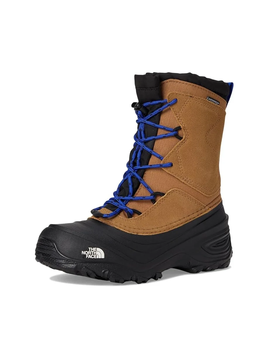Ботинки The North Face Kids Alpenglow V Waterproof — изображение 7 из 7, коричневый/синий