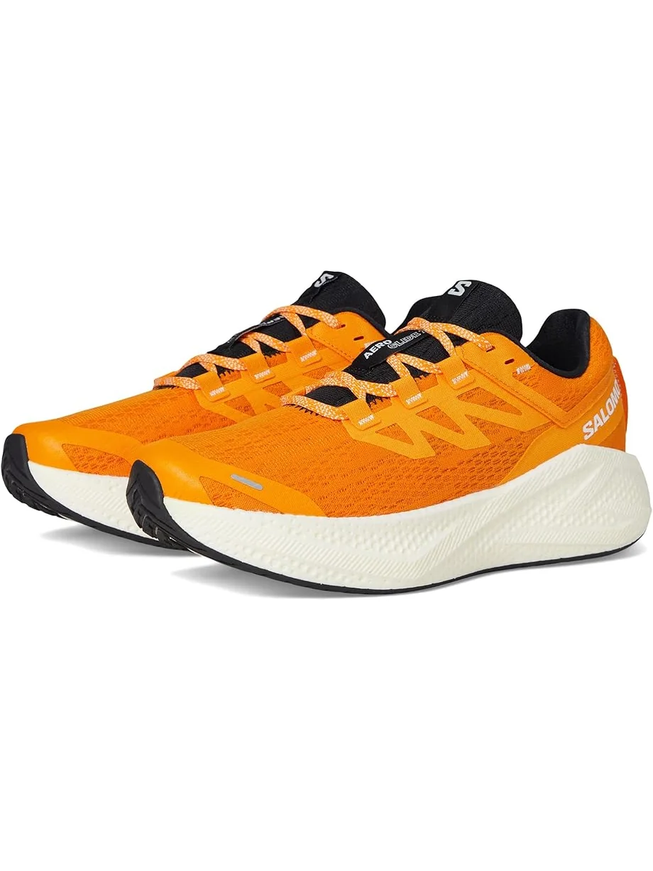 Кроссовки Salomon Aero Glide 3 — изображение 1 из 7, белый/черный