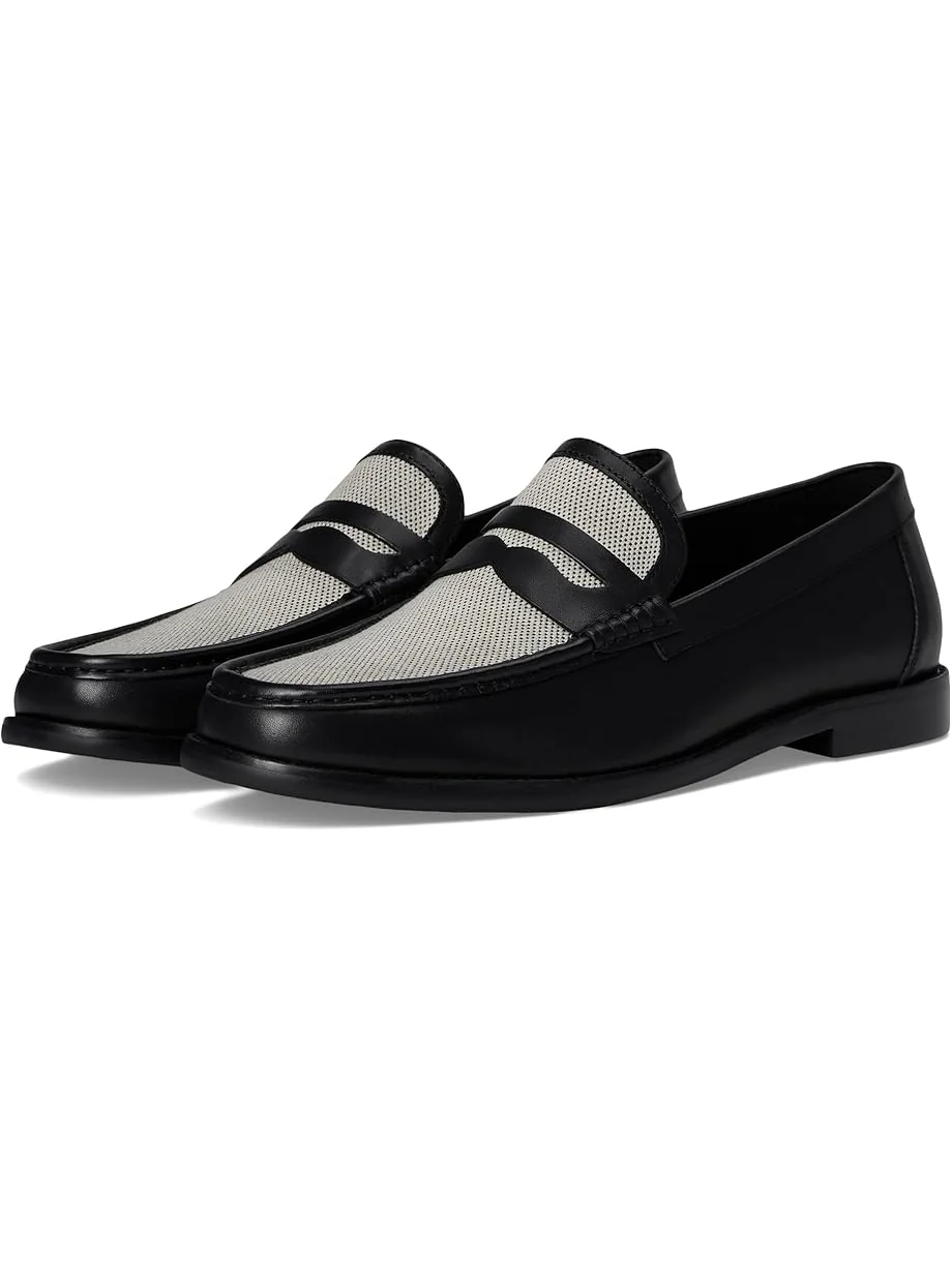 Лоферы Steve Madden Westport — изображение 1 из 7, бежевый/черный