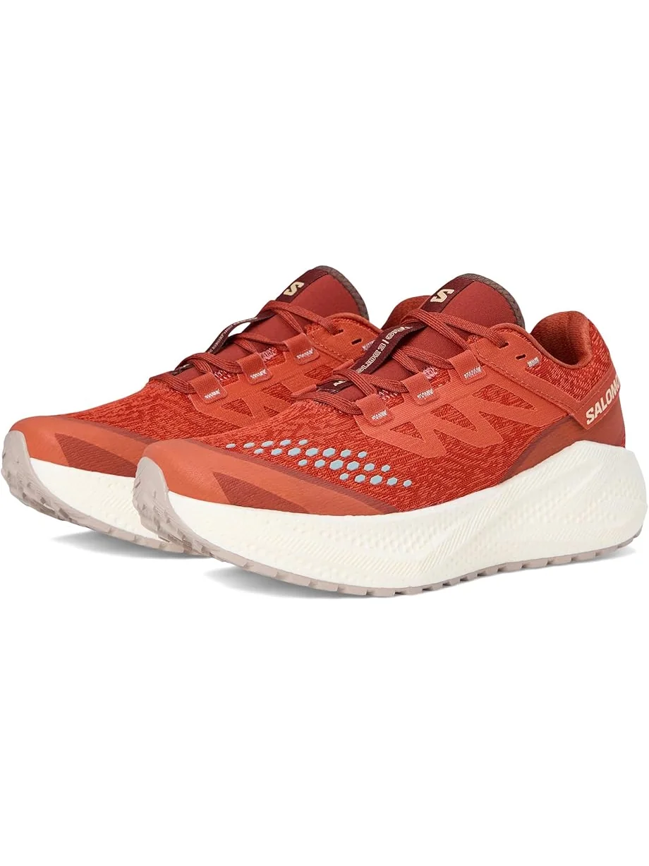 Кроссовки Salomon Aero Glide 3 Grvl, цвет Burnt Ochre/Vanilla Ice/Etherea — бежевый