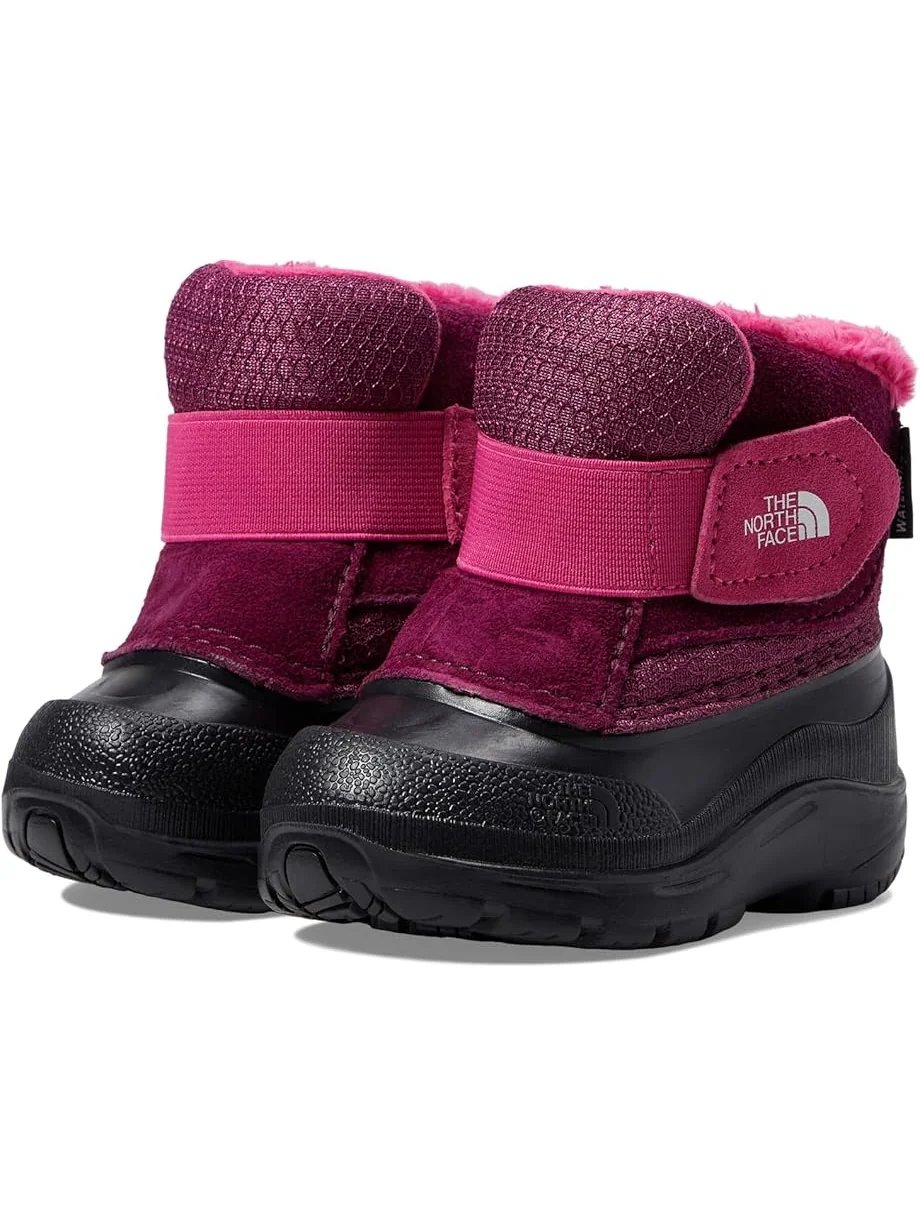 Ботинки The North Face Kids Alpenglow II