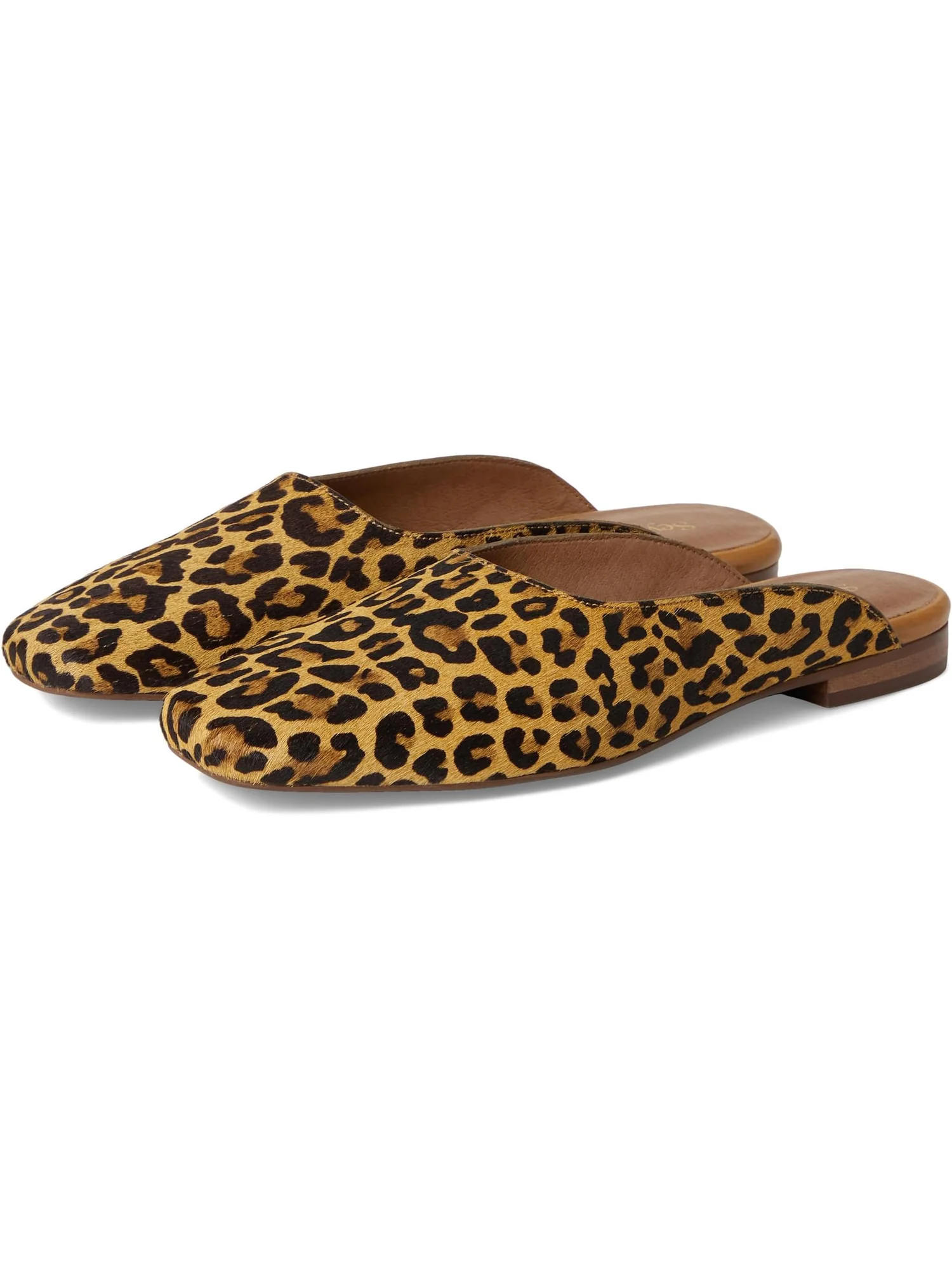 Балетки Seychelles Prim And Proper Mule, цвет Leopard