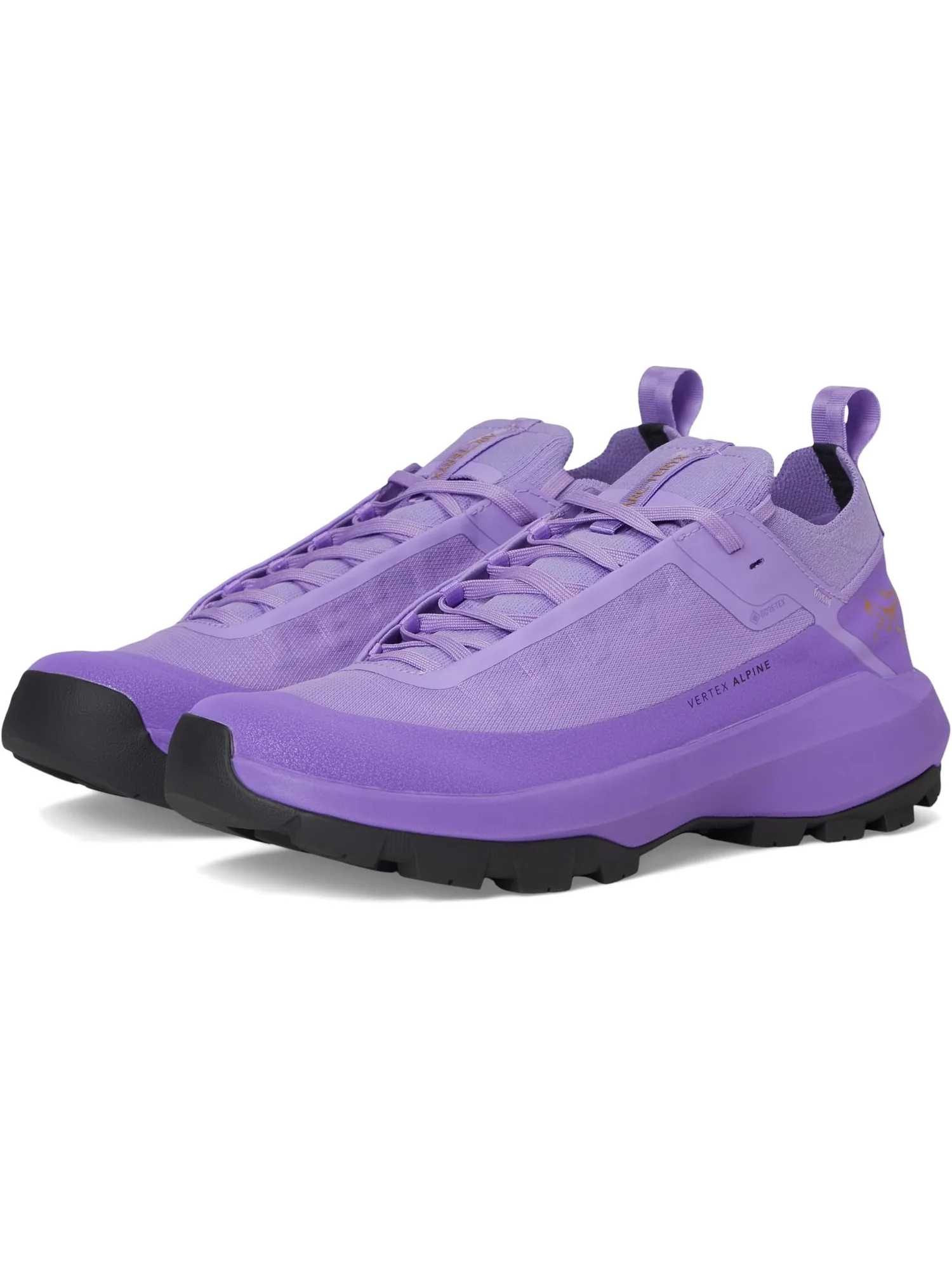 Кроссовки Arc'teryx Women's Vertex Alpine GTX — фиолетовый