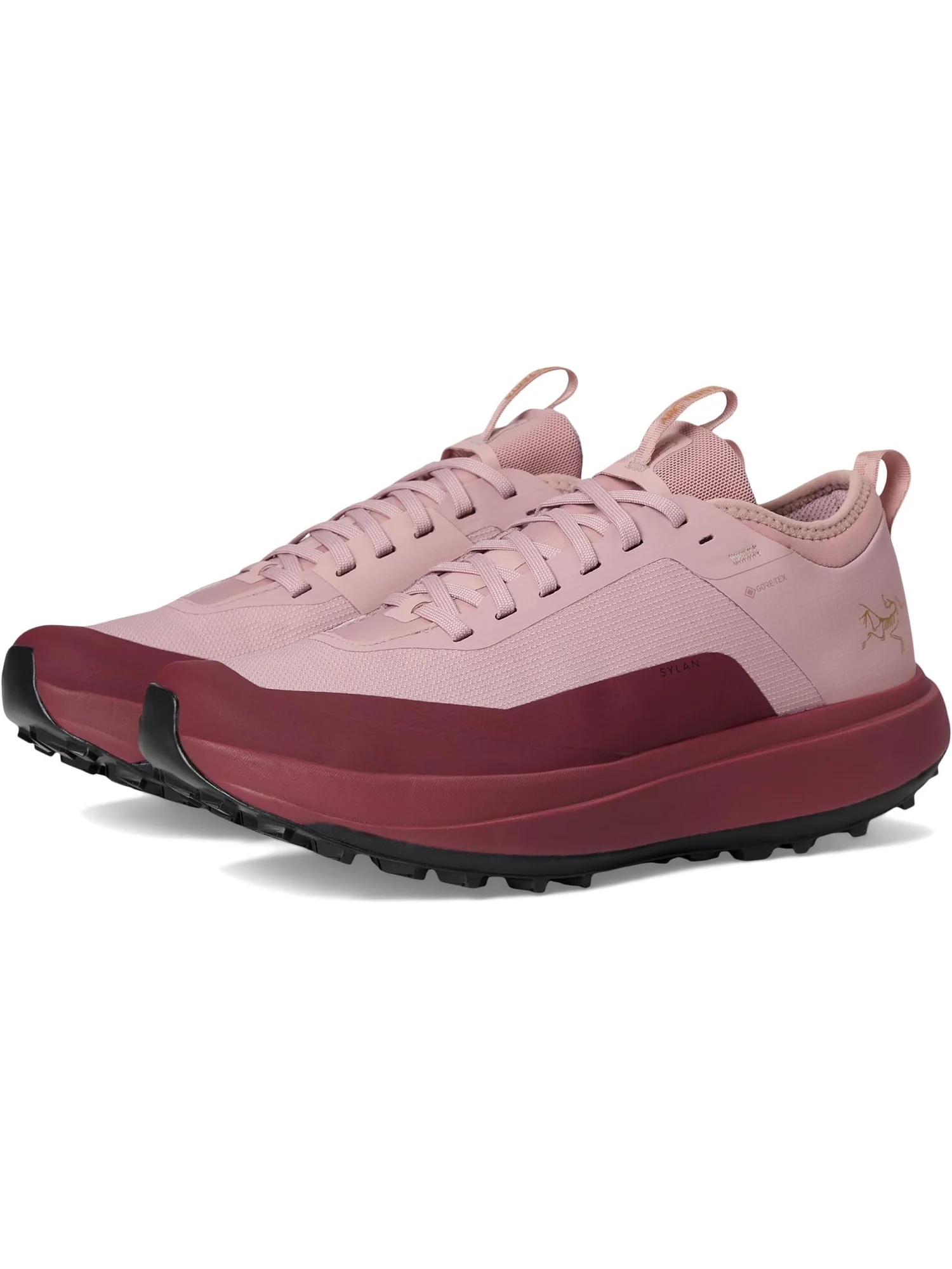 Кроссовки Arc'teryx Women's Sylan GTX, Dark Bliss/Mars — черный