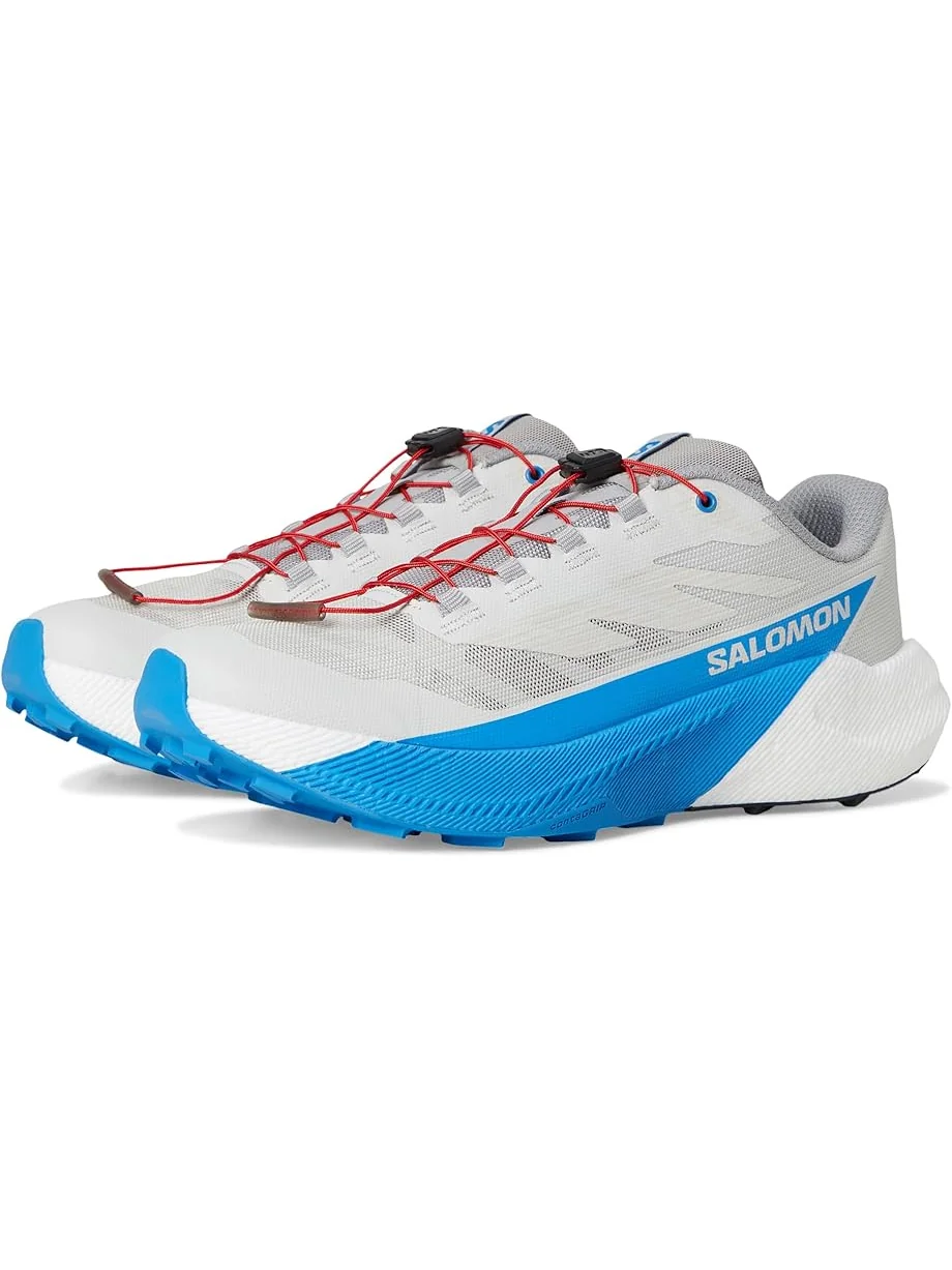 Мужские кроссовки Salomon Pulsar