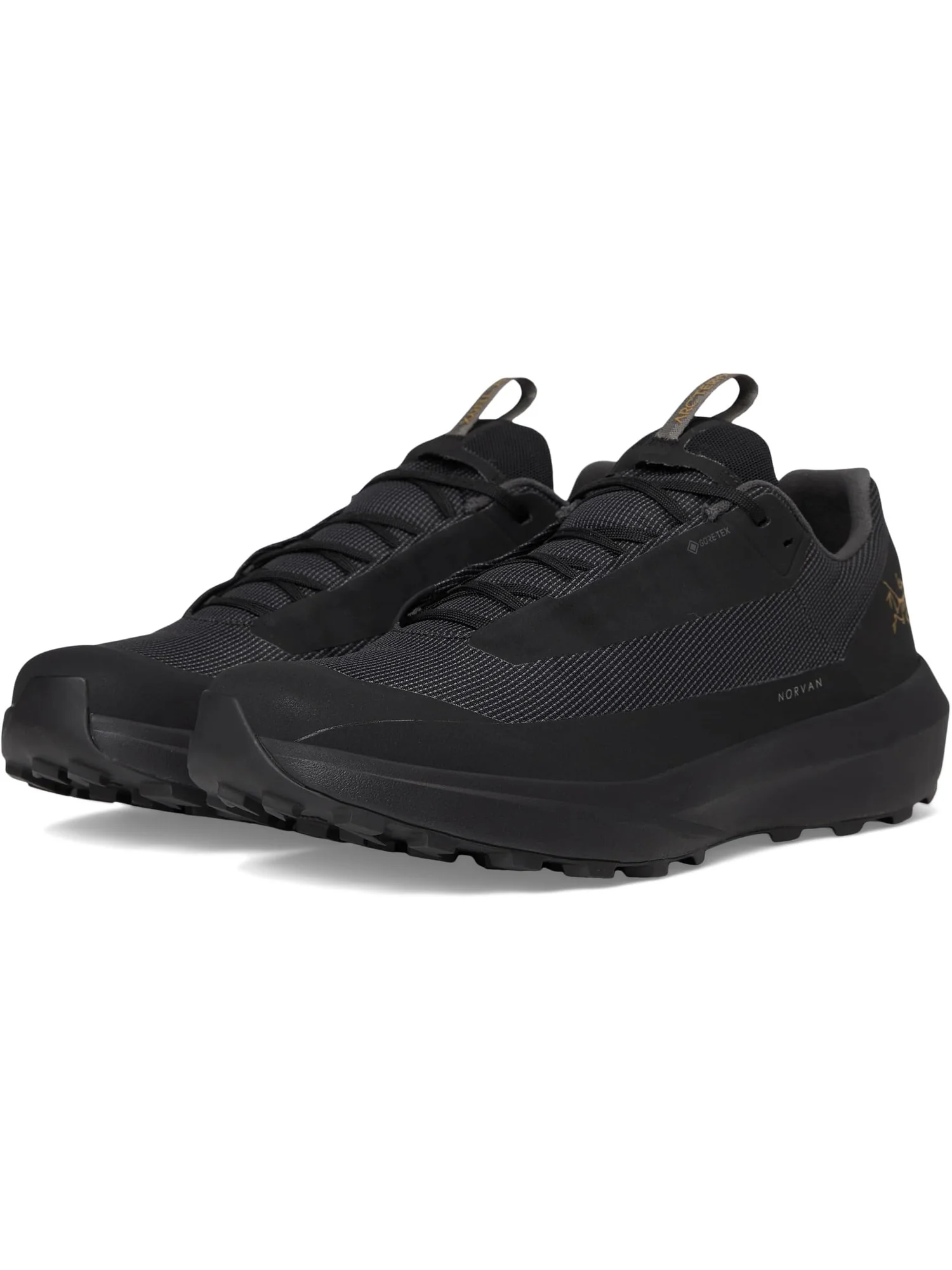 Кроссовки Arc'teryx Unisex Norvan LD 4 GTX — изображение 1 из 7, черный/черный
