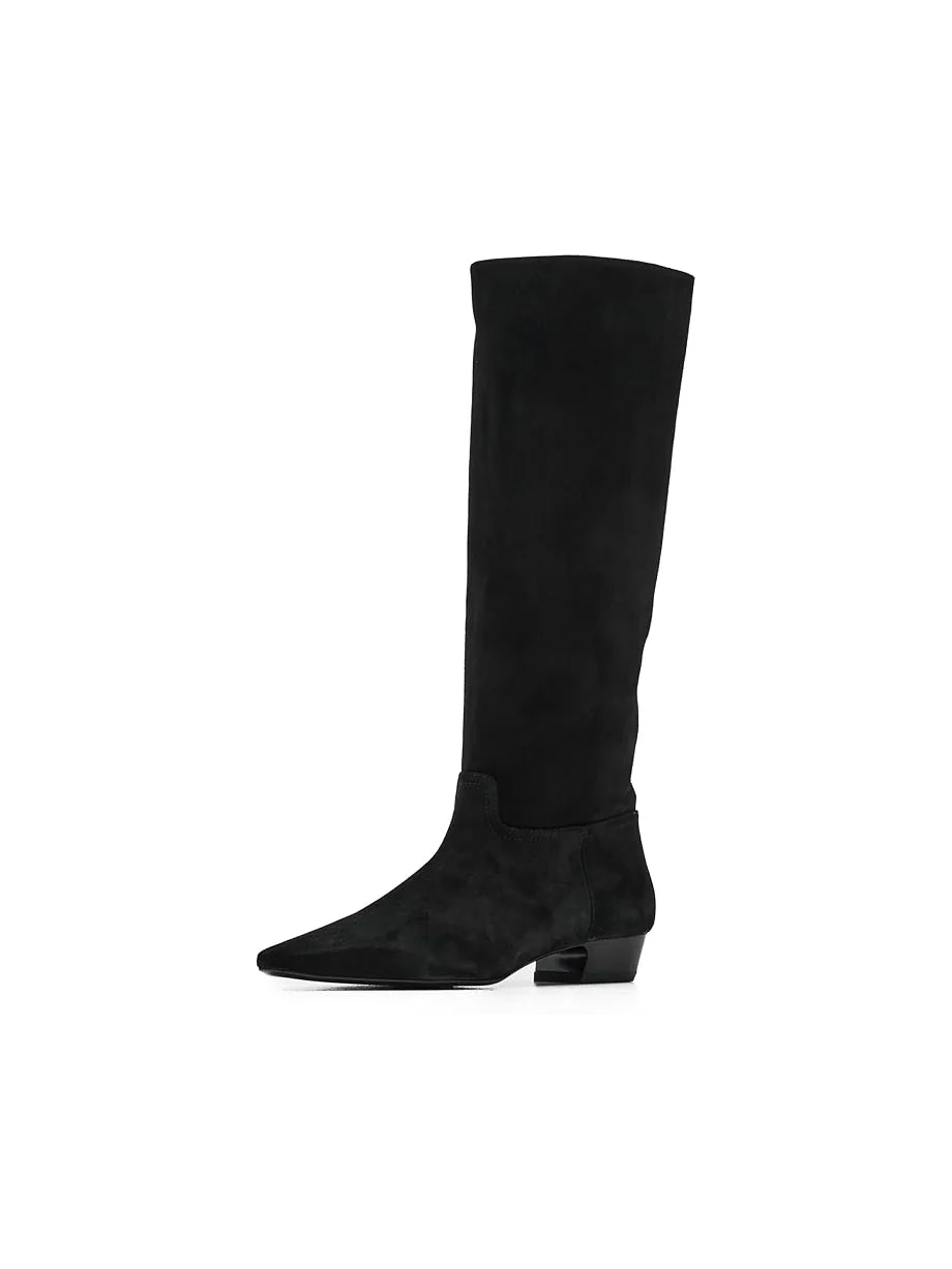 Женские ботинки Stuart Weitzman Stassi