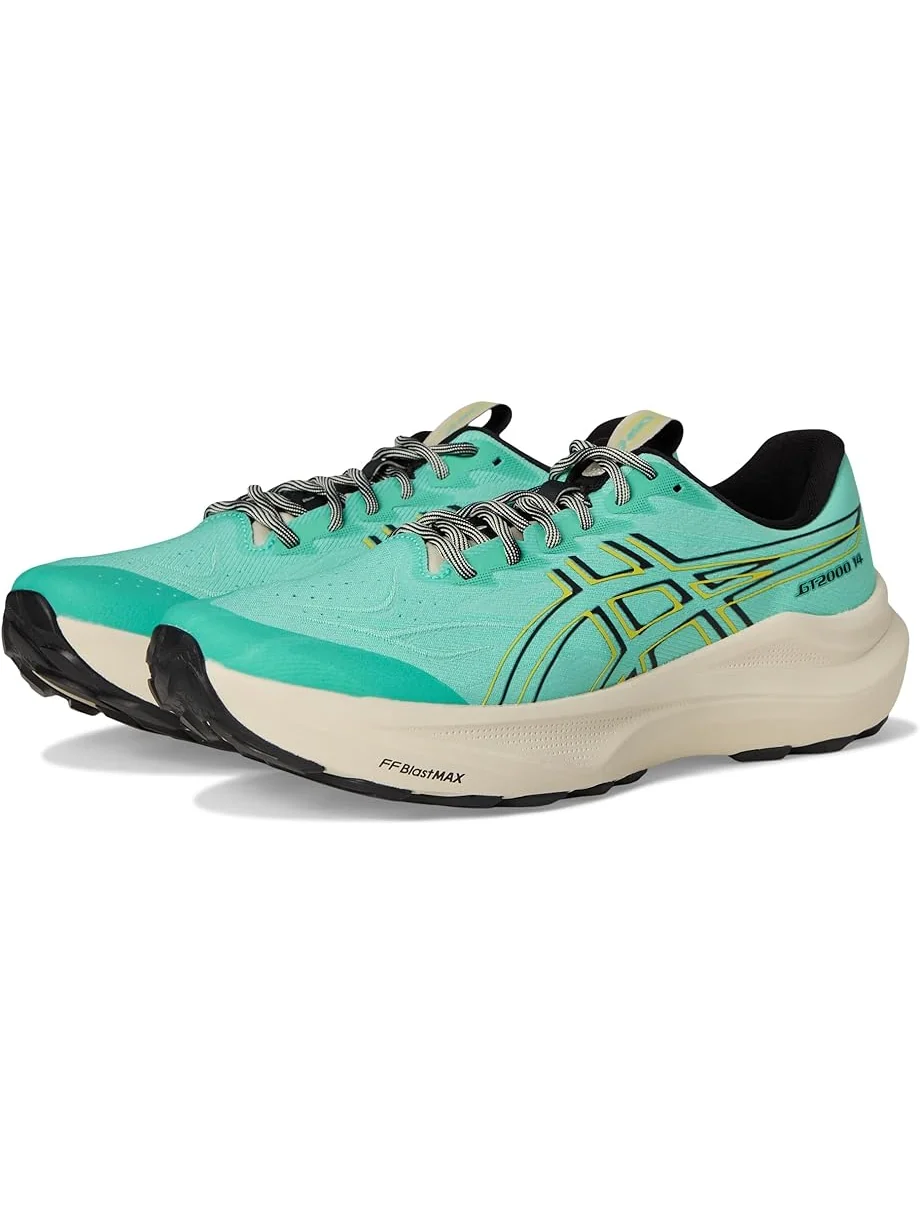 Мужские кроссовки ASICS GT-2000 14 TR
