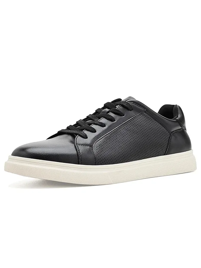 Кроссовки низкие Steve Madden Philip