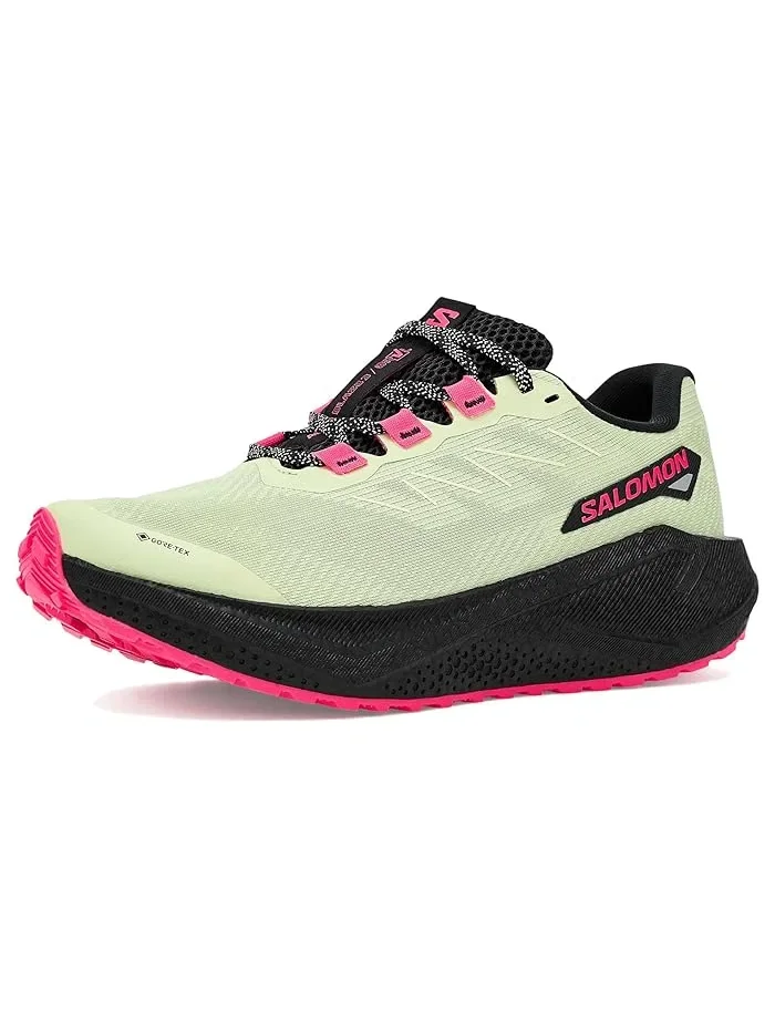 Кроссовки беговые Aero Blaze 3 GRVL GTX Salomon — изображение 1 из 4, мульти