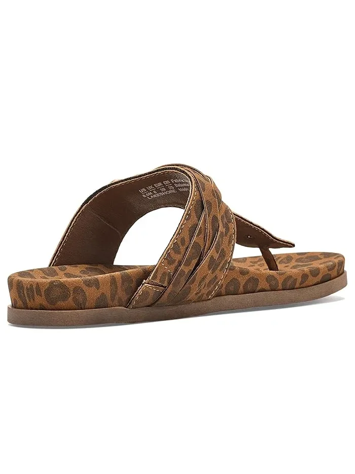 Сандалии-вьетнамки с пряжкой Lakeshore Blowfish Malibu, Leopard — изображение 3 из 4, леопардовый