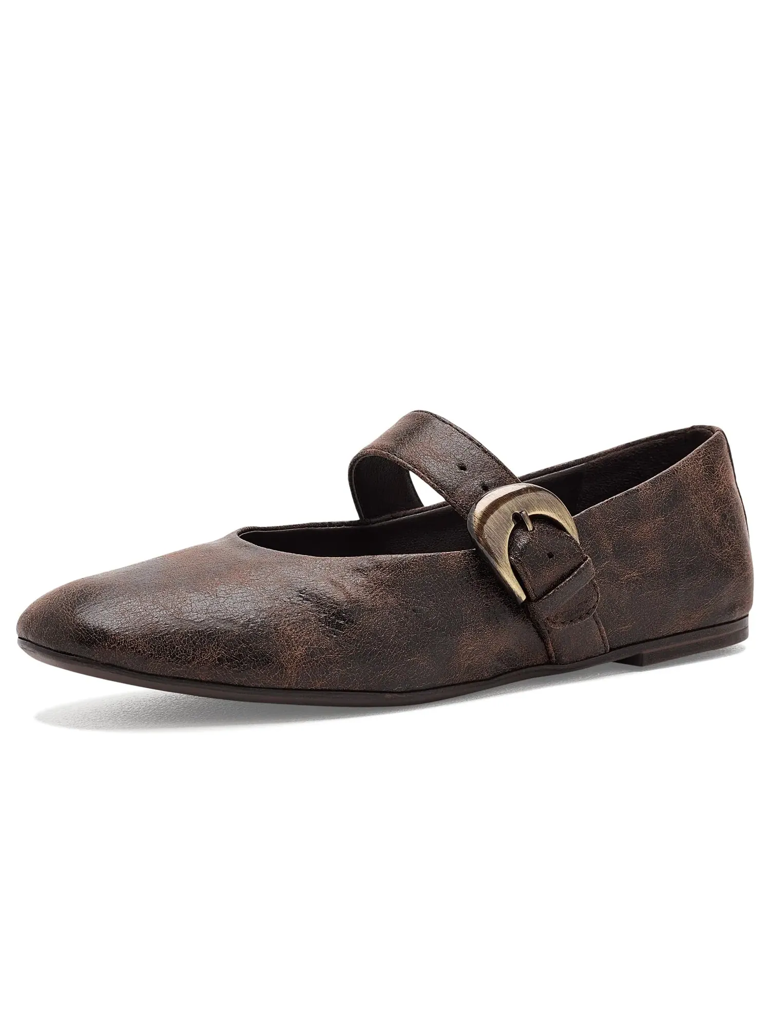 Балетки Bella Circus Ny By Sam Edelman — изображение 1 из 4, черный/коричневый