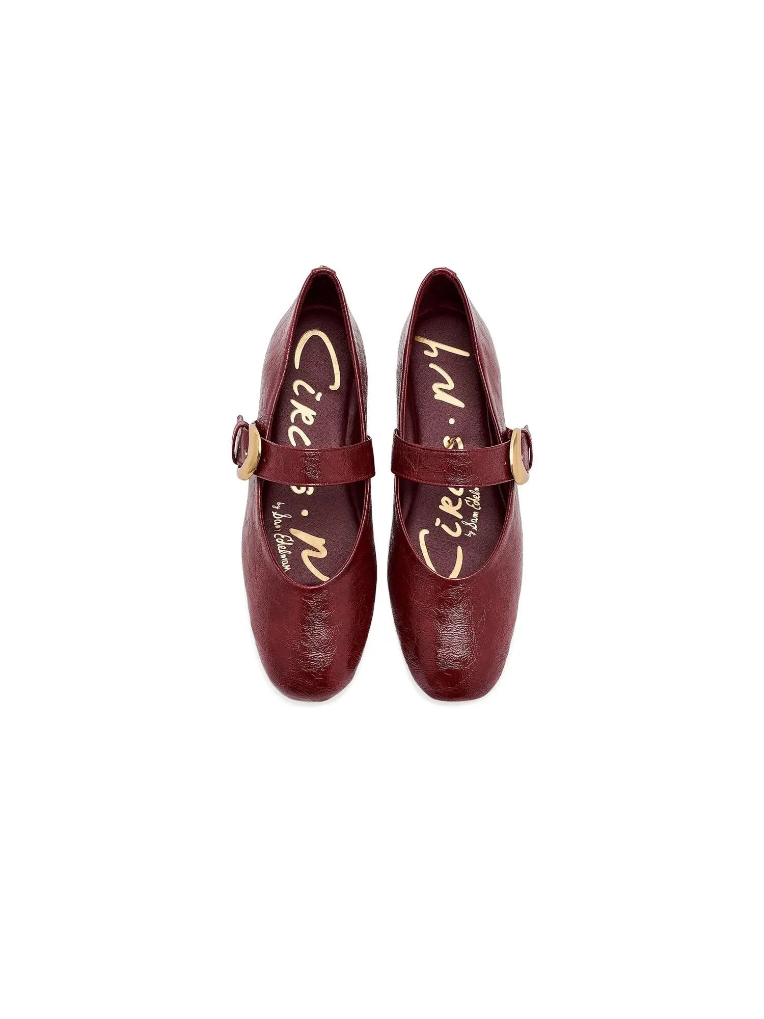 Балетки Bella Circus Ny By Sam Edelman — изображение 2 из 4, чианти