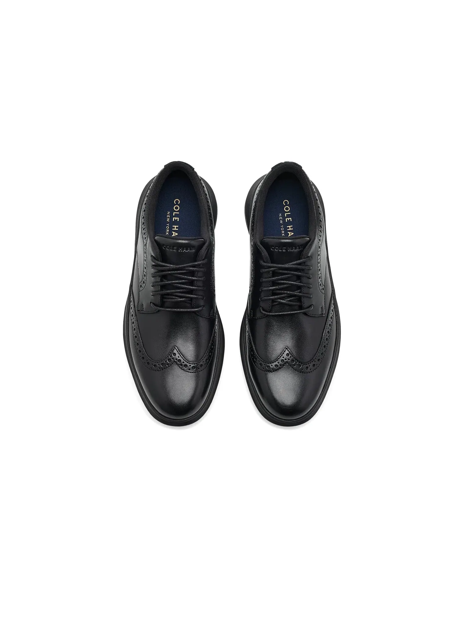 Оксфорды с перфорацией Grand Aerion Wingtip Oxford Cole Haan — изображение 2 из 4, черный/черный