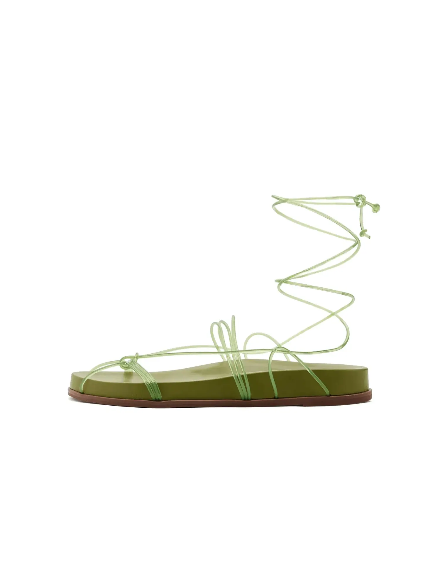 Сандалии Spaghetti Jelly Anatomic Flats Farm Rio — изображение 4 из 4, мох