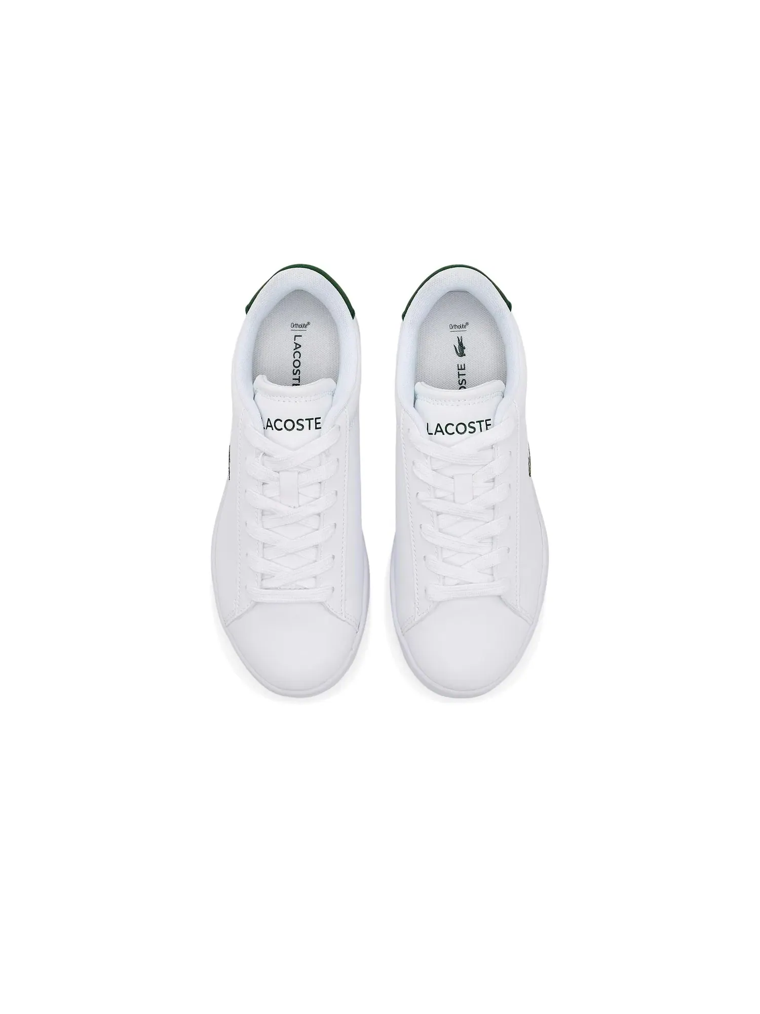 Кроссовки Carnaby Set (для маленьких и больших детей) Lacoste Kids — изображение 2 из 4, белый/темный зеленый
