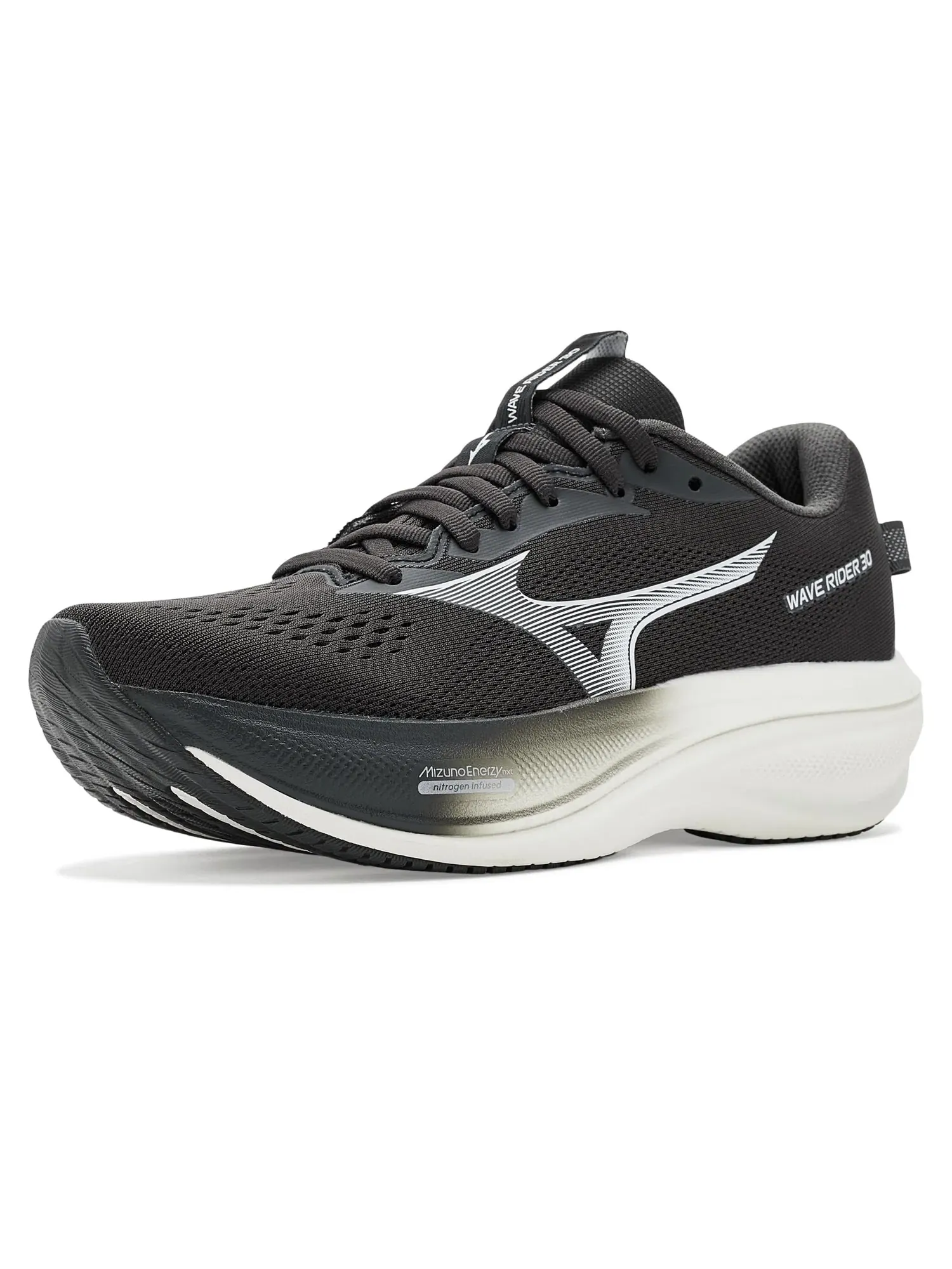 Кроссовки Wave Rider 30 Mizuno — изображение 1 из 4, черный песочный/белый