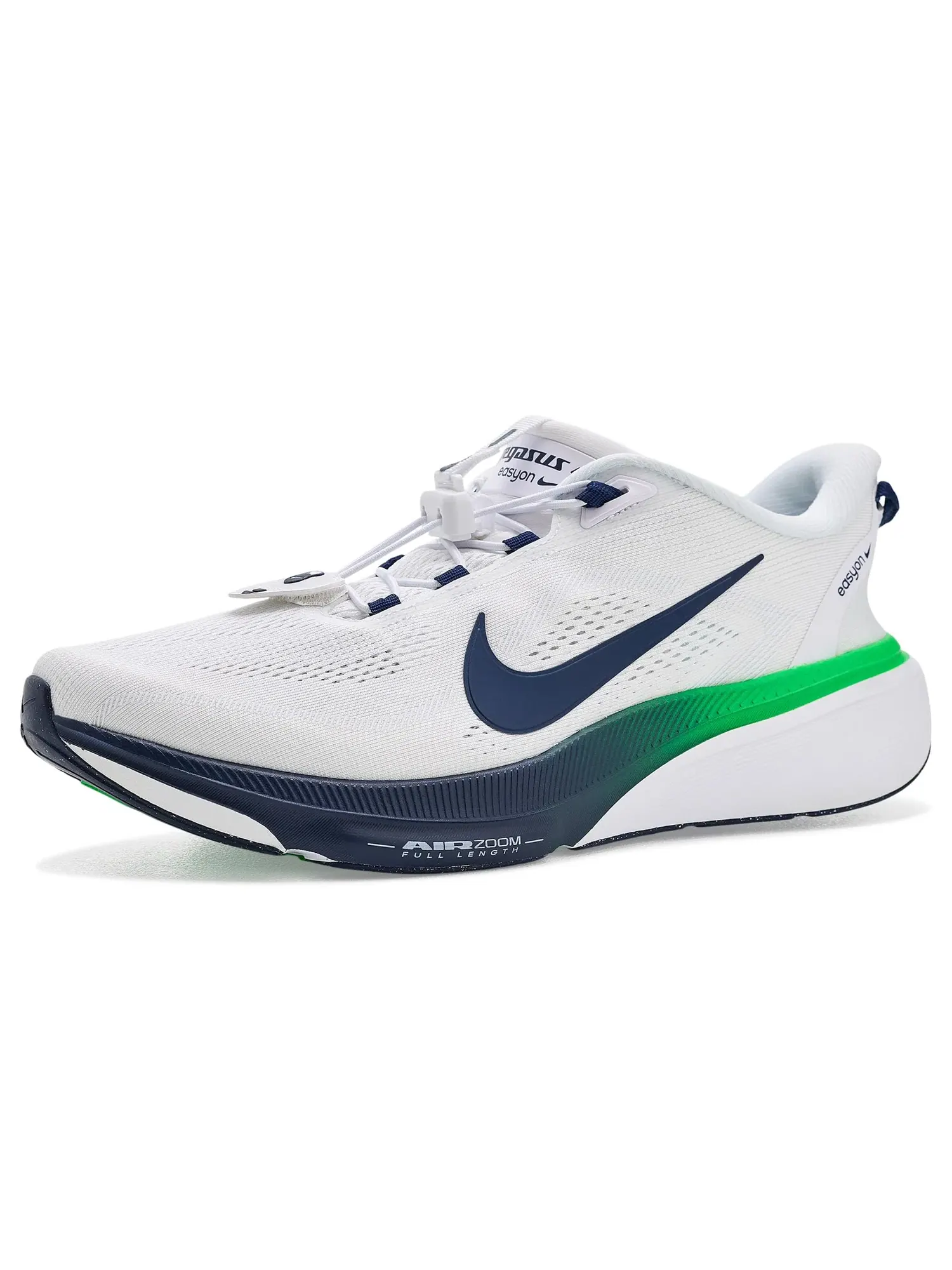 Кроссовки Pegasus 42 Easyon Nike — изображение 1 из 4