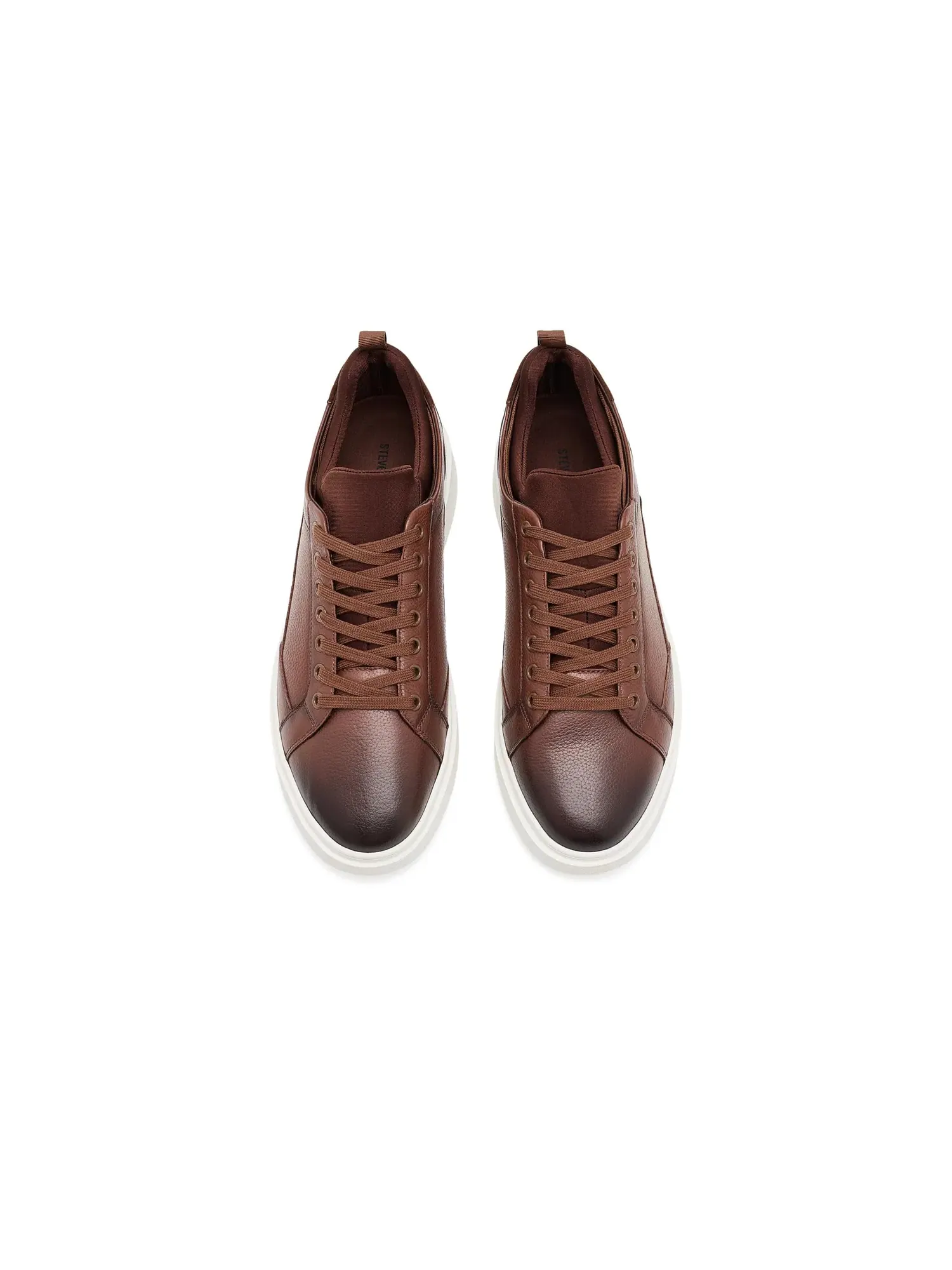 Кроссовки Panthr Steve Madden — изображение 2 из 4, коньячный