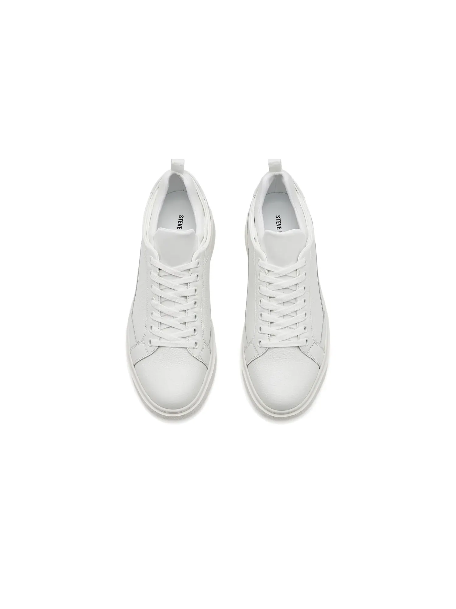 Кроссовки Panthr Steve Madden — изображение 2 из 4, белый