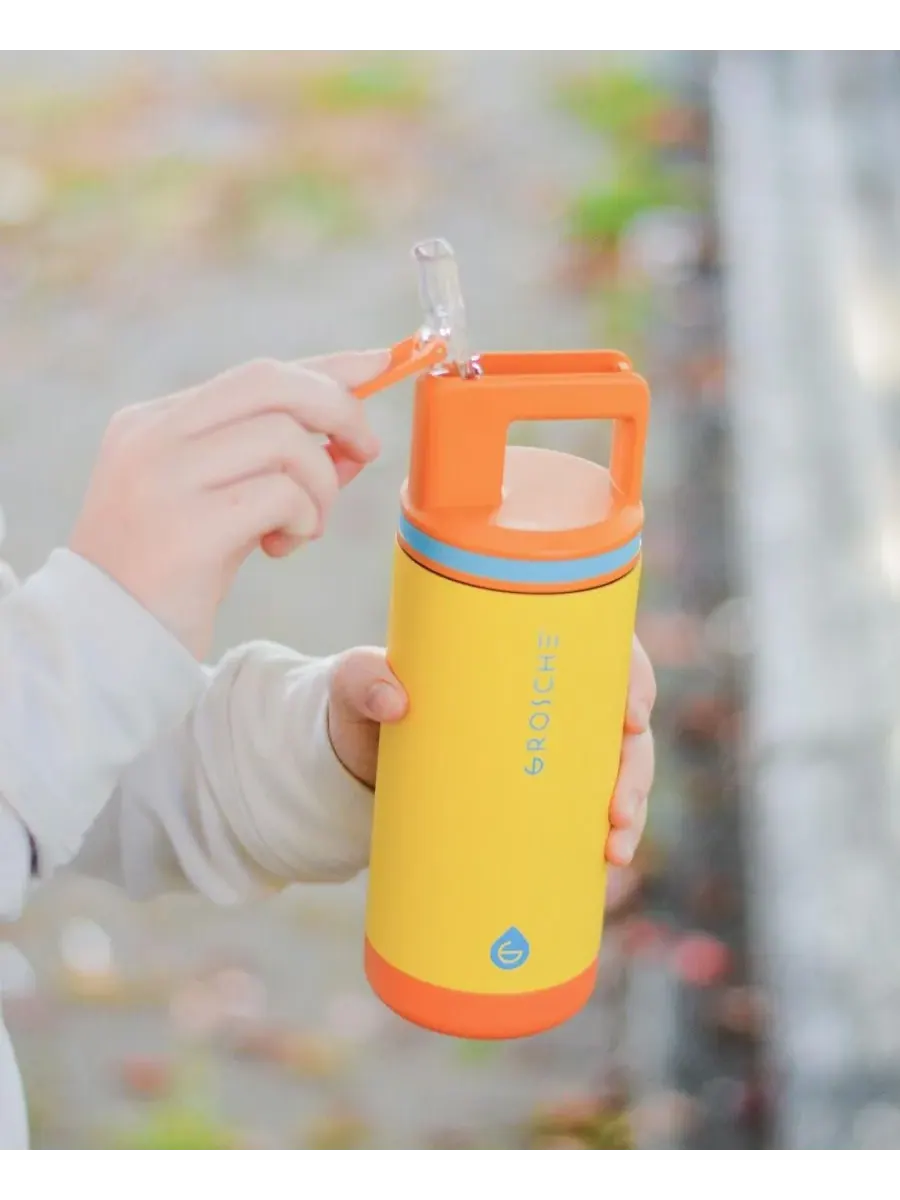 Детская термобутылка Alpine Flip 'N Sip с трубочкой, 2 шт Grosche — изображение 2 из 8, зеленый/желтый
