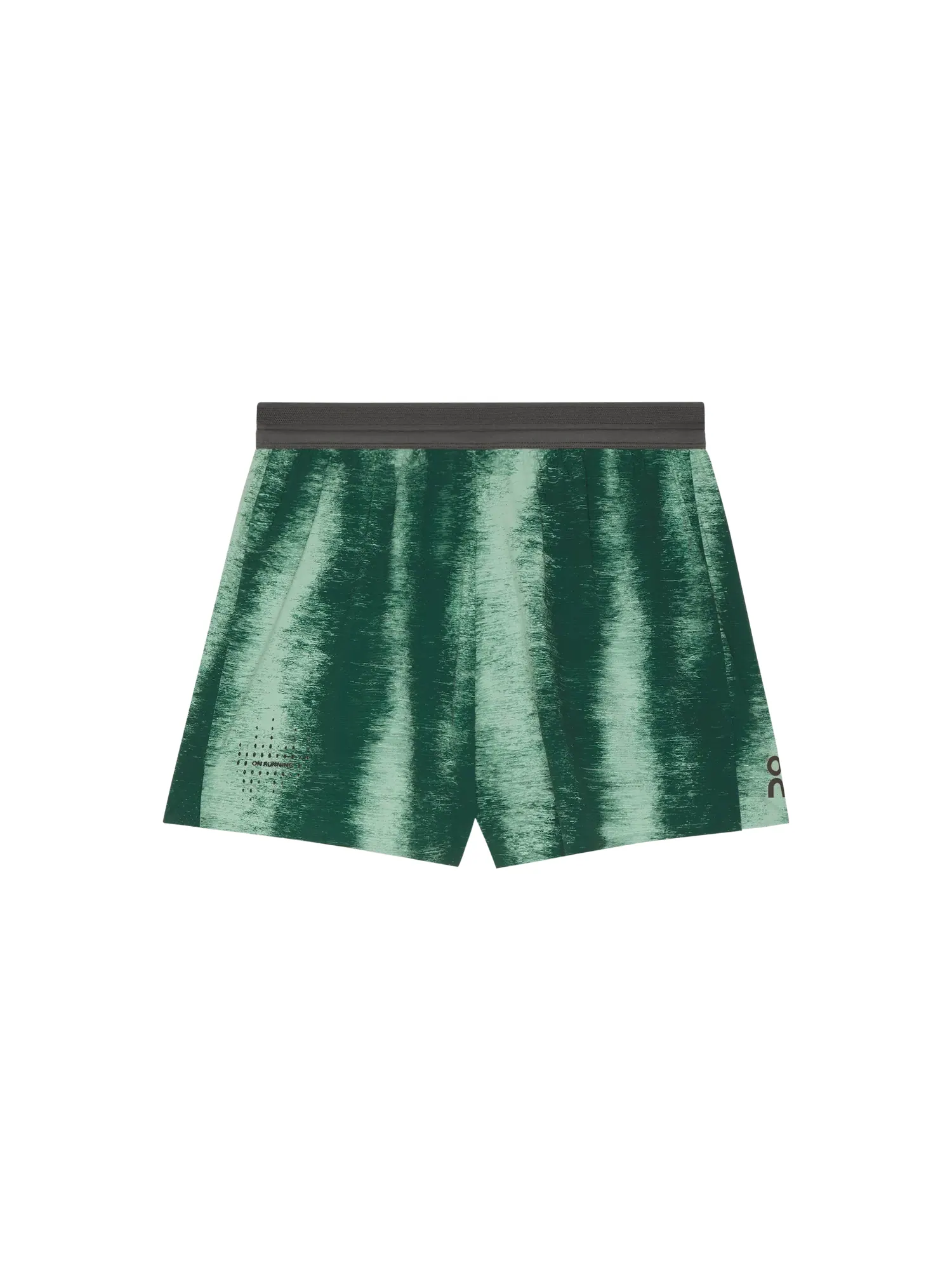Мужские шорты для бега с принтом Performance Shorts Terra On, Cove Kaitoke