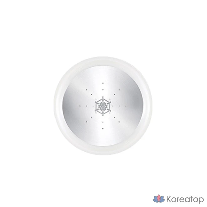Кушон-рефилл Sooryehan Bichaekjadan Metal Cushion Foundation, оттенок 23, 15 г, 1 шт.