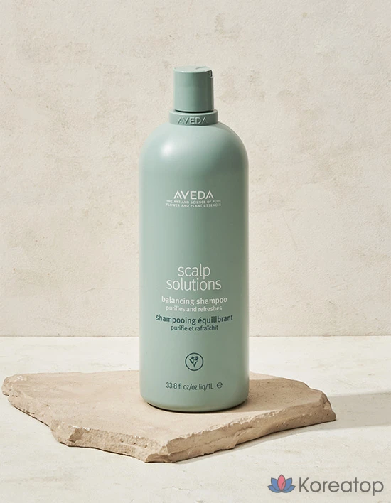 Шампунь Aveda Scalp Solutions Balancing, 1000 мл