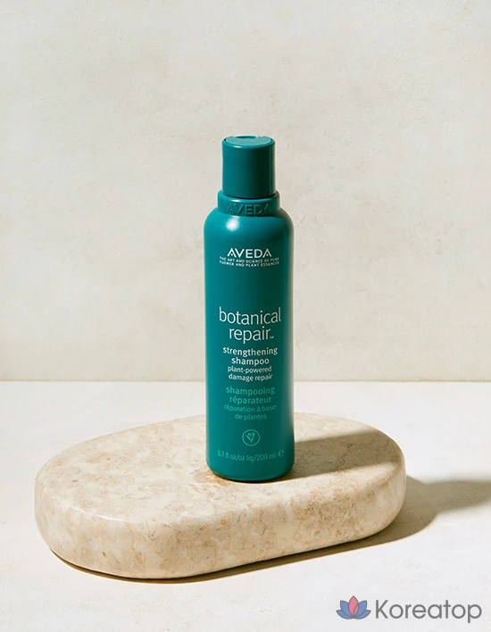 Шампунь Aveda Botanical Repair Strengthening, 200 мл