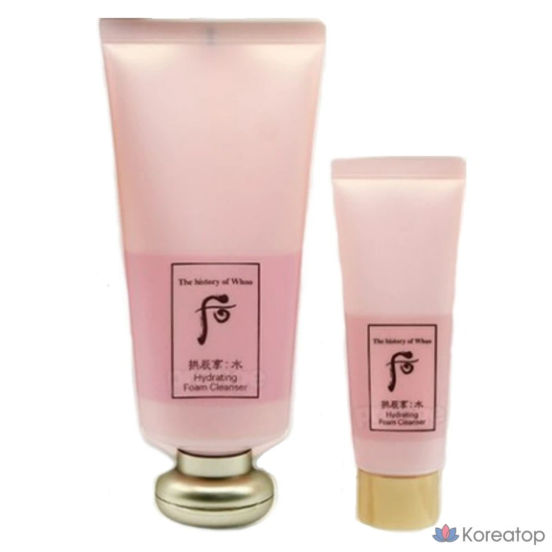 Набор для ухода THE HISTORY OF WHOO Gongjinhyang Soo Yeon Foam Cleanser (180 мл + 40 мл), 1 шт.