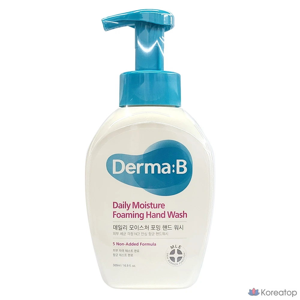 Пенка для рук Cetaphil Derma Daily Moisture Foaming Hand Wash, 500 мл, 1 шт.