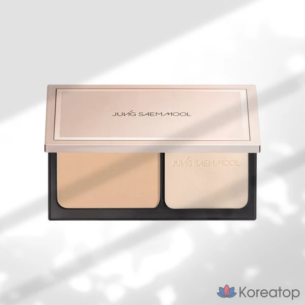 Пудра-основа Jungsaemmool Masterclass Powder Foundation, оттенок Y4 Sand, 1 шт.