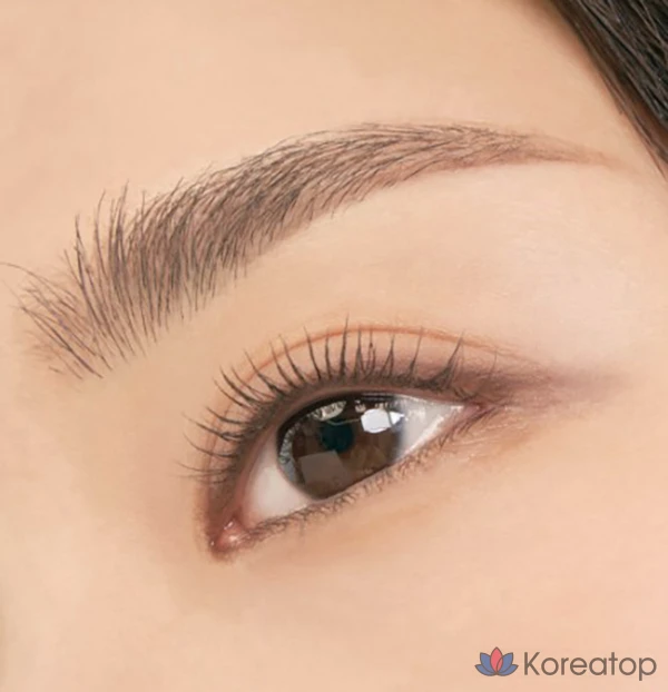Карандаш для бровей ROM&ND Han All Brow Cara, оттенок 01 Grace Taupe, 9 г, 1 шт., фото 6
