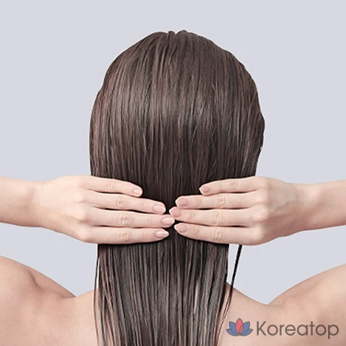 Триатмент для кожи головы Pyunkang Yul Low pH Scalp Treatment, 500 мл, 1 шт., фото 3