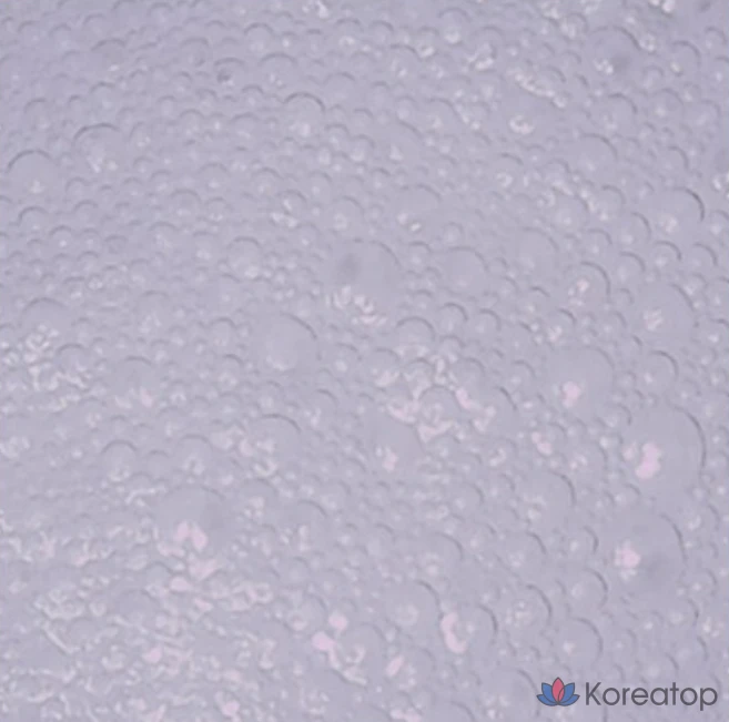 Очищающая пенка Rovectin Pore Care Tightening Cleansing Foam, 150 мл, 1 шт.