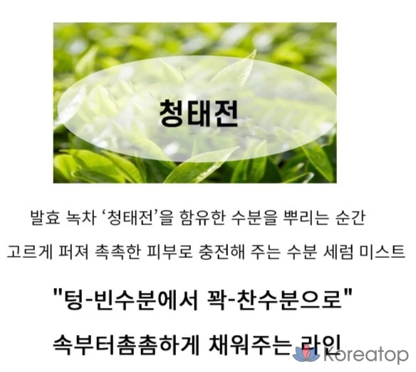 Тонер-спрей Tony Moly Green Tea Moisture Mist, 100 мл, 1 шт.