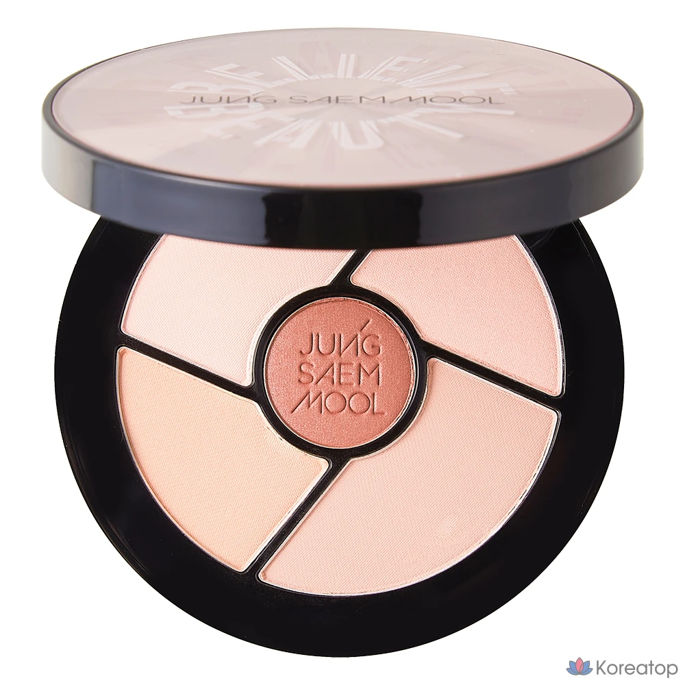 Палетка теней для век Jungsaemmool Artist Eye Palette Core, оттенок Soft Nude, 1 шт.